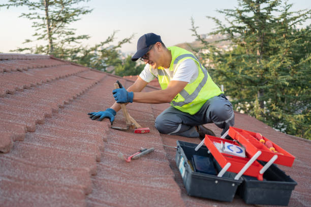 Best Flat Roof Repair Services  in Lamoni, IA